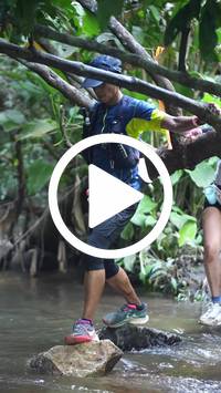 BIB:  <button type="button" onclick="openModal(27808844)" class="btn btn-primary btn-sm float-right" data-toggle="modal" data-target=".modal-high-quality">
                <i class="fa fa-download"></i> Download
                </button>